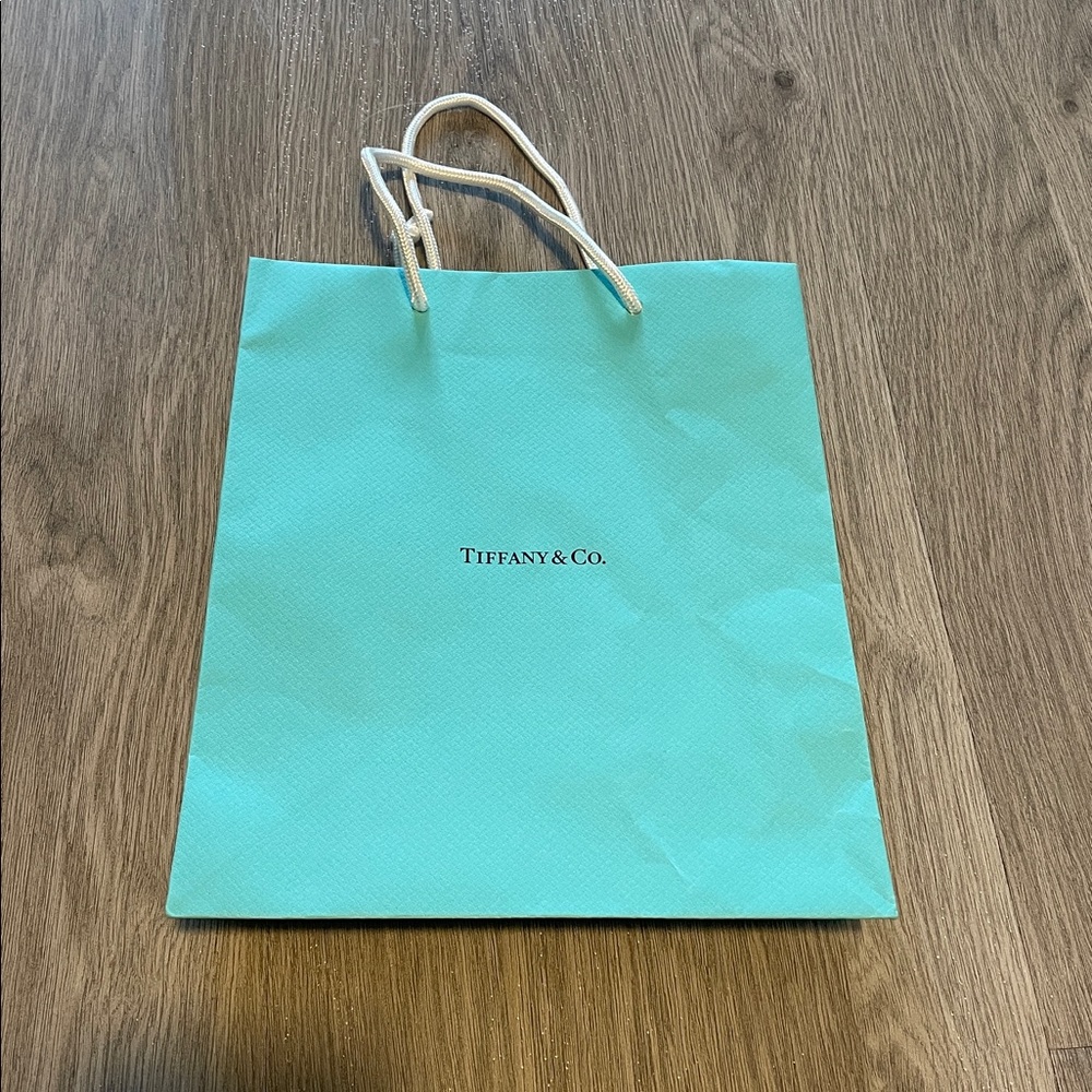 Tiffany & Co. Gift Bag